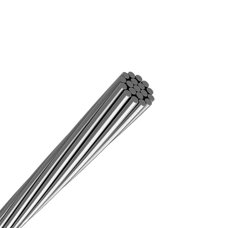 ເປັນຫຍັງທ່ານຄວນເລືອກ GSW Bare Conductor Cable ສໍາລັບໂຄງການໄຟຟ້າຂອງທ່ານ